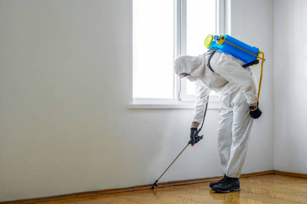 Best Pest Control for Homes  in Hugoton, KS
