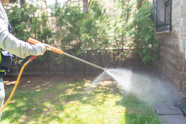 Best Flea Control Services  in Hugoton, KS