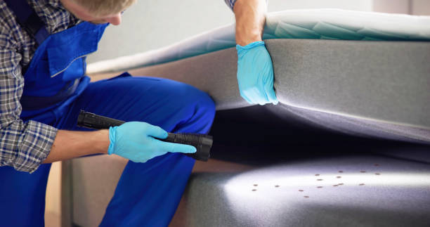 Best Local Pest Control Services  in Hugoton, KS