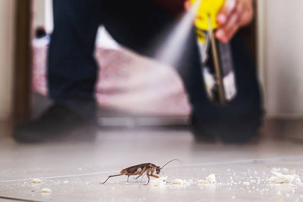 Best Wildlife Control Services  in Hugoton, KS