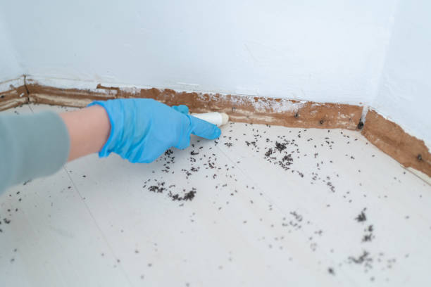 Best Affordable Pest Control Services  in Hugoton, KS