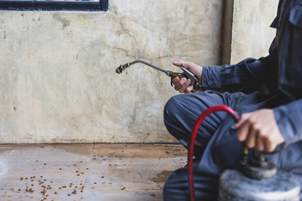 Pest Control for Restaurants in Hugoton, KS