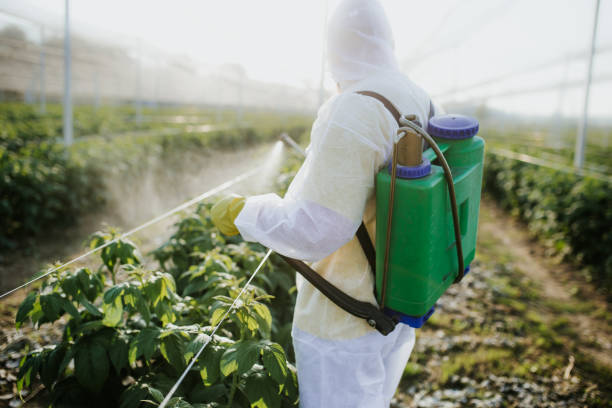 Best Pest Inspection Near Me  in Hugoton, KS